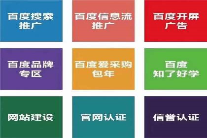 行业领先企业的SEM竞价代运营成功案例揭秘